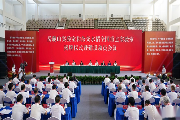 實驗室建設