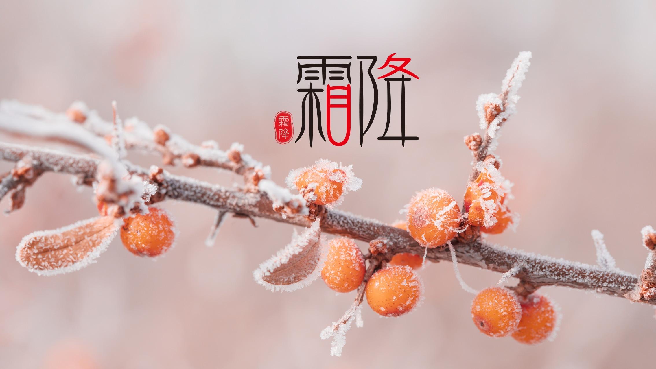 一葉知霜降，一雨感深秋