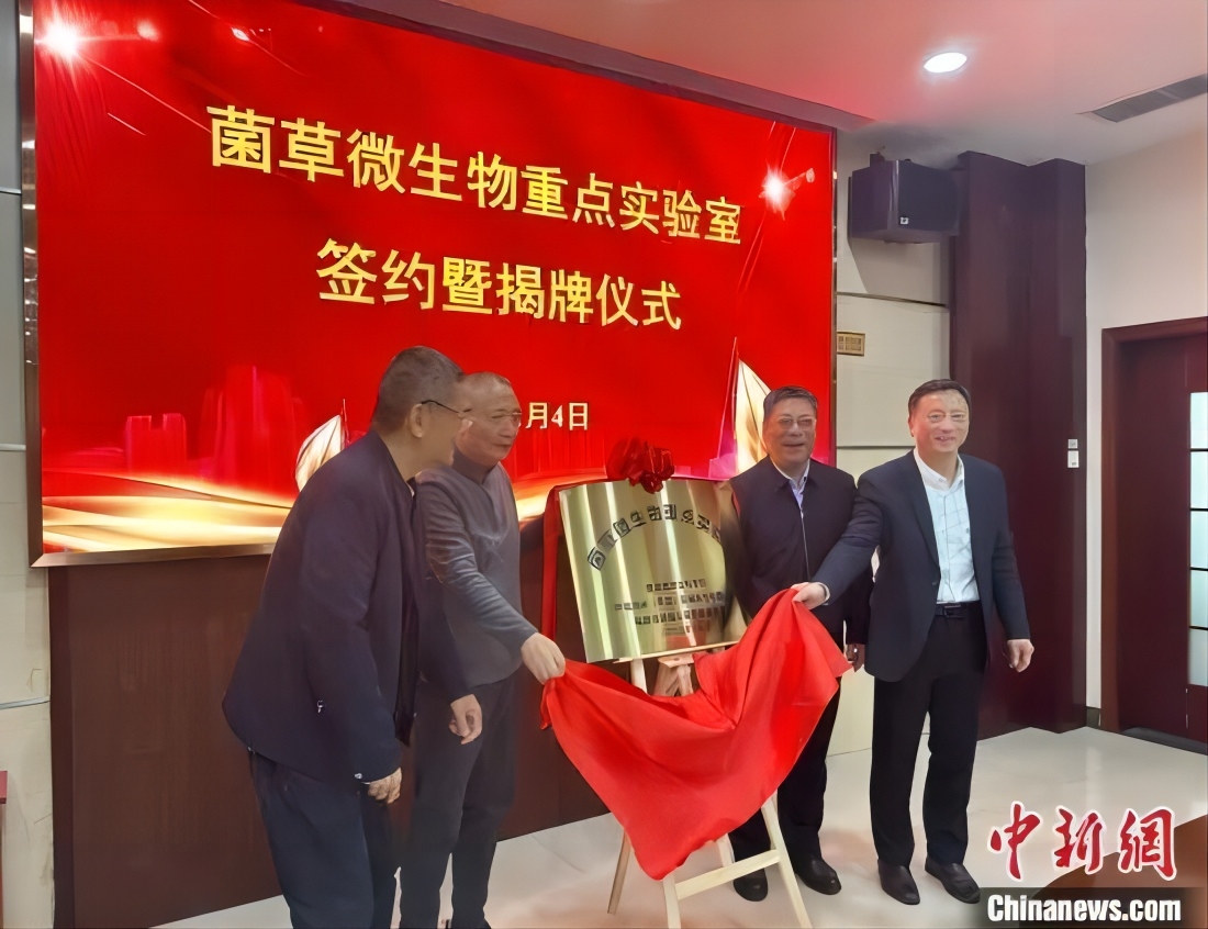 福建福州成立菌草微生物重點實驗室