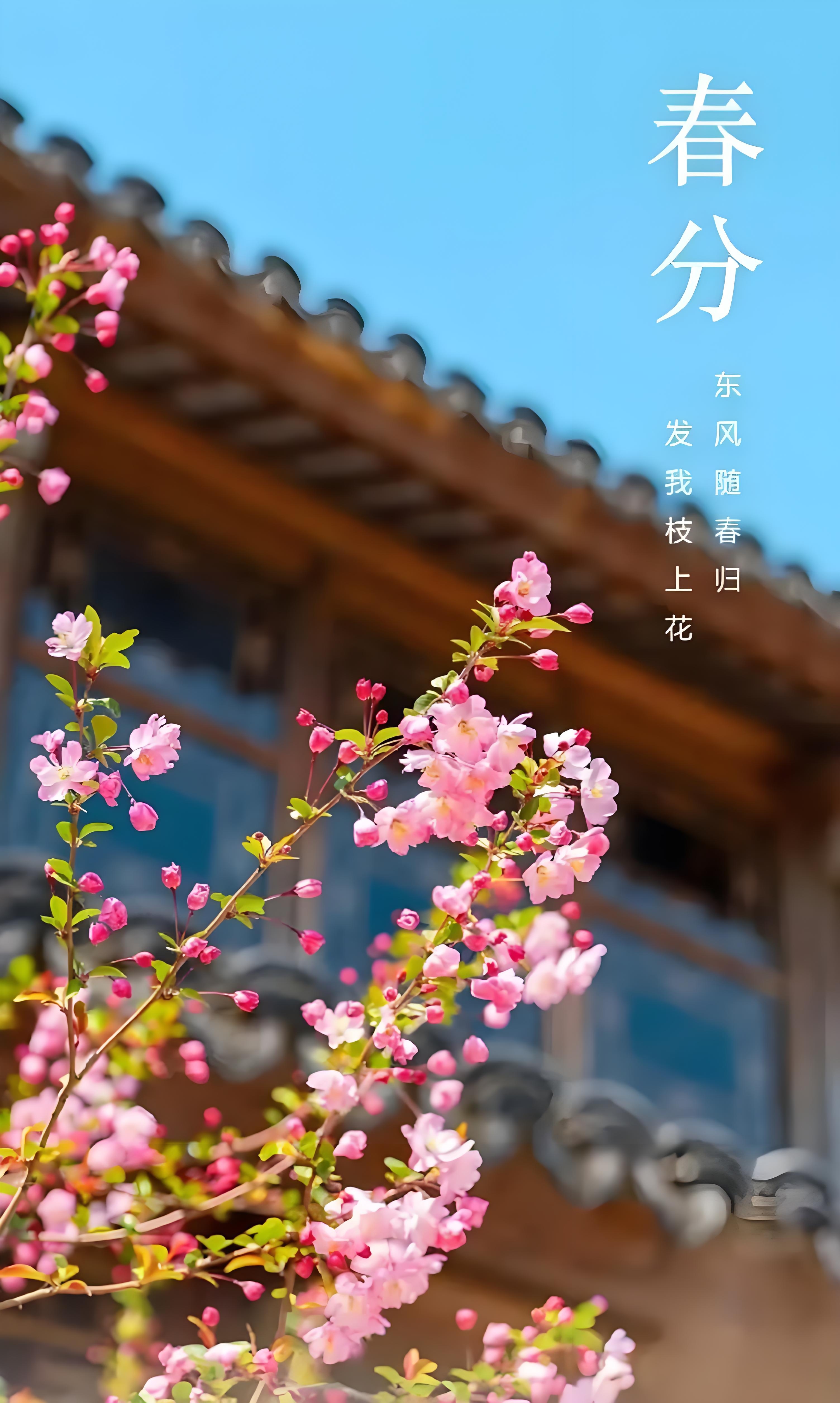 春風解人意，時光不負你